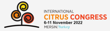 ICC logo